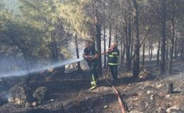 HATAY’DA ORMAN YANGINI SÖNDÜRÜLDÜ