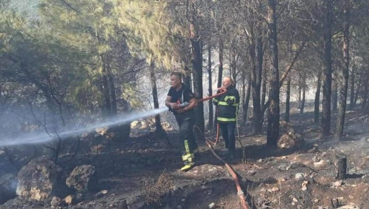 HATAY’DA ORMAN YANGINI SÖNDÜRÜLDÜ