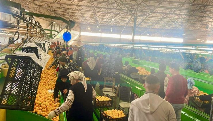 TARIM ORMAN MÜDÜRLÜĞÜ DENETİMLERİNİ SÜRDÜRÜYOR