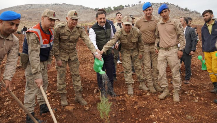 HATAY’DA BİNLERCE FİDAN TOPRAKLA BULUŞTU