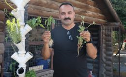 ATIKLARDAN ‘GÜNEŞ ENERJİSİYLE ÇALIŞAN DİKEY TARIM SİSTEMİ’ KURDU  