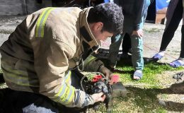 17 METRE DERİNLİĞİNDEKİ KUYUYA DÜŞEN KÖPEĞİ İTFAİYE KURTARDI