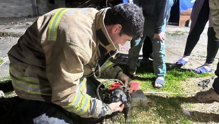 17 METRE DERİNLİĞİNDEKİ KUYUYA DÜŞEN KÖPEĞİ İTFAİYE KURTARDI