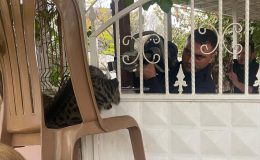 PATİSİ KORKULUĞA SIKIŞAN KEDİYİ İTFAİYE KURTARDI  