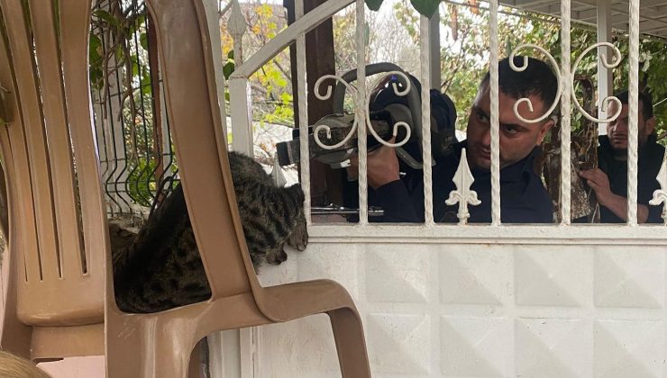 PATİSİ KORKULUĞA SIKIŞAN KEDİYİ İTFAİYE KURTARDI  