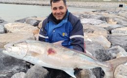 AMATÖR BALIKÇI BİR METRELİK İKİ DEV BALIĞI OLTAYLA TEK SEFERDE YAKALADI  