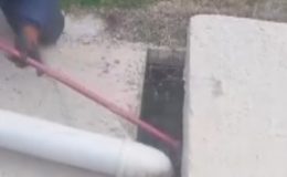 KANALİZASYON KUYUSUNA DÜŞEN 3 YAVRU KÖPEĞİN YARDIMINA VATANDAŞ KOŞTU