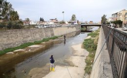 HBB, HAŞERELERE KARŞI KIŞLAK MÜCADELESİNE DEVAM EDİYOR