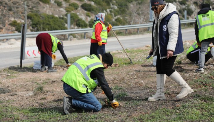 HATAY’IN YEŞİL ÖRTÜSÜ KADINLARA EMANET