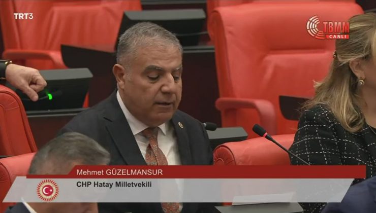 GÜZELMANSUR: HATAYLI ÇİFTÇİLERİN ZARARI KARŞILANMALI