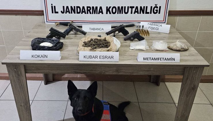 JANDARMA EKİPLERİ ŞUBAT AYINDA 61 ŞAHIS HAKKINDA YASAL İŞLEM YAPTI   