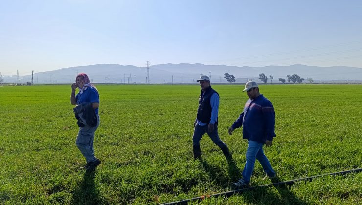 HATAY’DA YAŞANAN KURAKLIK AMİK OVASI’NDA ÜRETİMİ OLUMSUZ ETKİLEYECEK   