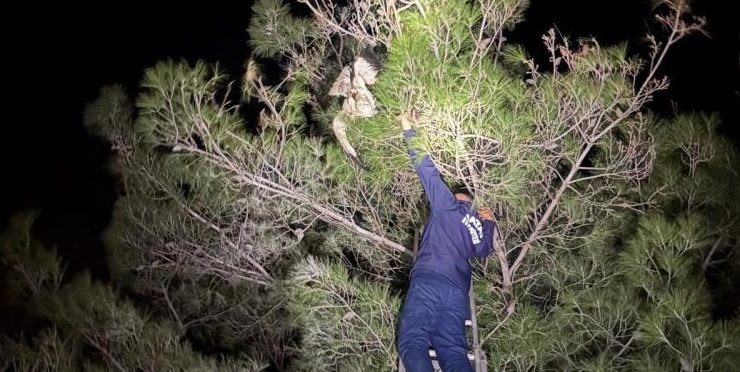 AYAĞINA MİSİNA DOLANAN LEYLEĞE İTFAİYEDEN HAYAT KURTARAN MÜDAHALE