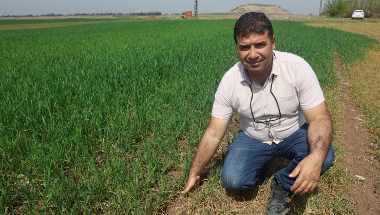 KURAKLIĞIN ETKİSİYLE YARIKLARIN OLUŞTUĞU AMİK OVASI İÇİN BİLİM ADAMINDAN KRİTİK UYARI   