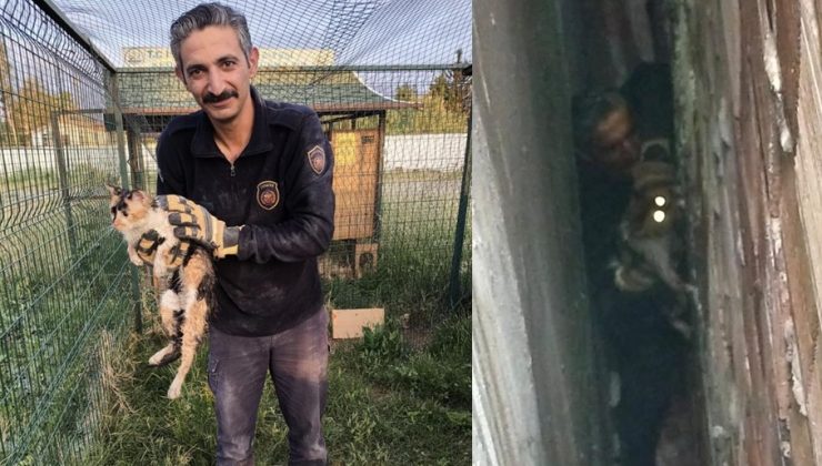 BİNA BOŞLUĞUNA DÜŞEN KEDİ, 7 SAATLİK OPERASYONLA KURTARILDI