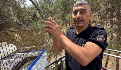KAFESİNDEN KAÇAN MUHABBET KUŞUNU İTFAİYE YAKALADI   