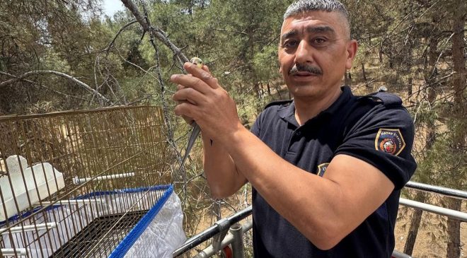KAFESİNDEN KAÇAN MUHABBET KUŞUNU İTFAİYE YAKALADI   