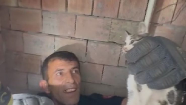 BİNA BOŞLUĞUNA DÜŞEN YAVRU KEDİ İTFAİYE EKİPLERİNCE KURTARILDI   