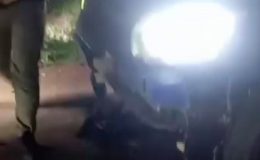OTOMOBİLİN ÇARPTIĞI 10 KÜÇÜKBAŞ HAYVAN TELEF OLDU   