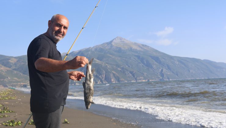 AŞIRI YAĞIŞLA BİRLİKTE DENİZE SÜRÜKLENEN BİNLERCE TATLI SU BALIĞI, TUZLU SUDA TELEF OLDU   