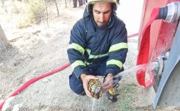 ALEVLERİN ARASINDA KALAN KAPLUMBAĞAYA CAN SUYU   