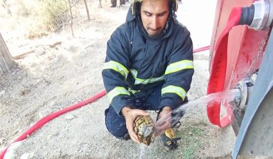 ALEVLERİN ARASINDA KALAN KAPLUMBAĞAYA CAN SUYU   