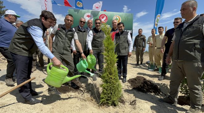 DEPREM ŞEHİTLERİ İÇİN BİNLERCE FİDAN TOPRAKLA BULUŞTU   