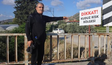 KUDUZ KARANTİNASININ OLDUĞU 4 MAHALLEDE SOKAK KÖPEKLERİ VATANDAŞLARI TEDİRGİN EDİYOR  