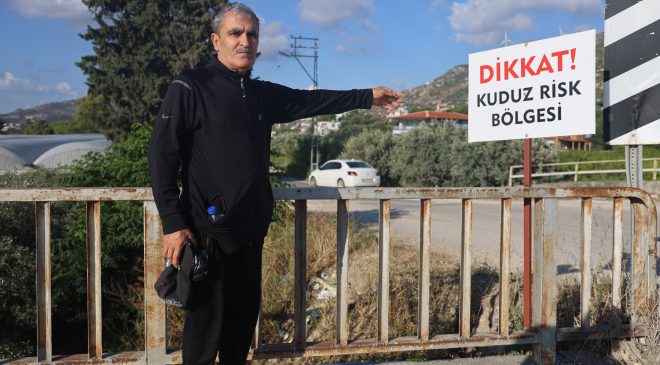 KUDUZ KARANTİNASININ OLDUĞU 4 MAHALLEDE SOKAK KÖPEKLERİ VATANDAŞLARI TEDİRGİN EDİYOR  