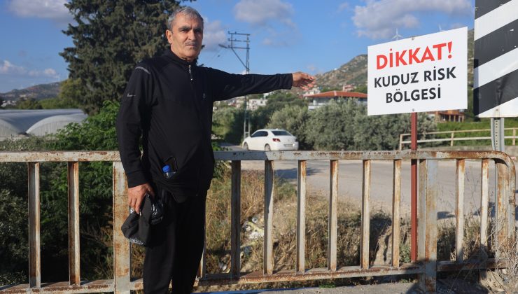 KUDUZ KARANTİNASININ OLDUĞU 4 MAHALLEDE SOKAK KÖPEKLERİ VATANDAŞLARI TEDİRGİN EDİYOR  