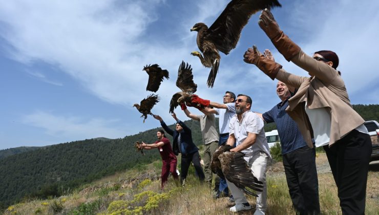 TEDAVİLERİ TAMAMLANAN KUŞLAR DOĞAYA SALINDI