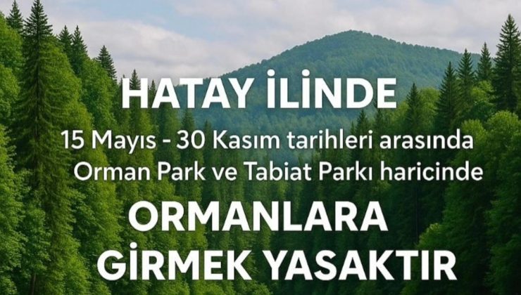 HATAY’DA ORMANLARA GİRİŞLER YASAKLANDI 