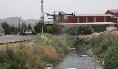 BÜYÜKŞEHİR SİVRİSİNEĞE SAVAŞ AÇTI
