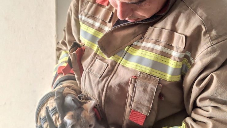 HAVALANDIRMA BOŞLUĞUNA DÜŞEN KEDİYİ İTFAİYE KURTARDI   
