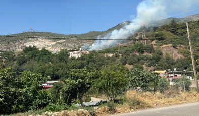 HATAY’DA ORMANLIK ALANDA ÇIKAN YANGIN SÖNDÜRÜLDÜ   