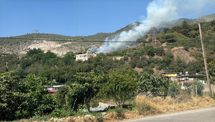 HATAY’DA ORMANLIK ALANDA ÇIKAN YANGIN SÖNDÜRÜLDÜ   