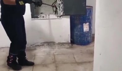 KAZAN DAİRESİNDE YILAN PANİĞİ   
