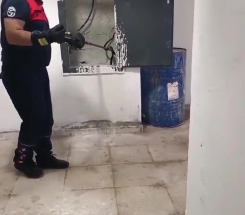 KAZAN DAİRESİNDE YILAN PANİĞİ   