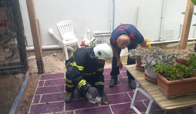 BALIK AĞINA TAKILAN KEDİYİ İTFAİYE KURTARDI   