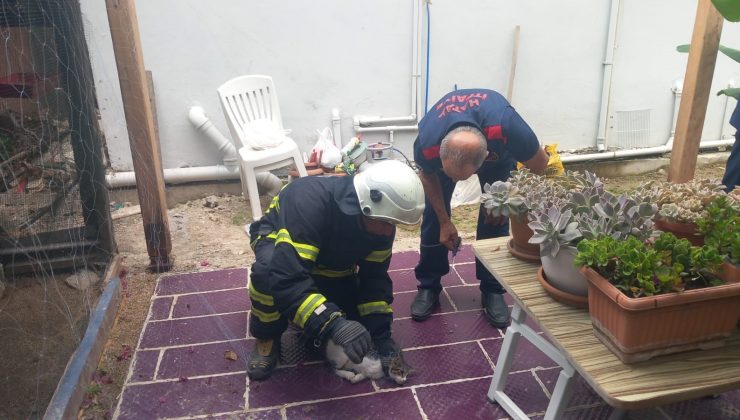 BALIK AĞINA TAKILAN KEDİYİ İTFAİYE KURTARDI   