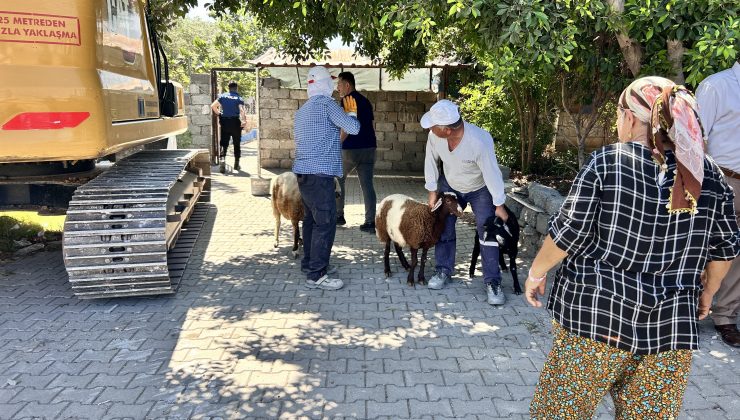 KAÇAK YAPI YIKIMINDA GERGİNLİK: 1 YARALI, 2 GÖZALTI   