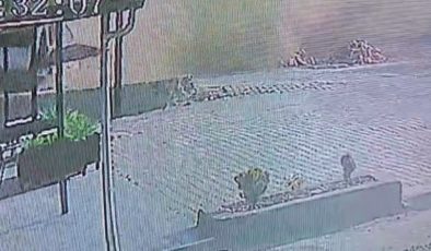 DEFALARCA TAKLA ATAN MİNİBÜSÜN 18 YAŞINDAKİ SÜRÜCÜSÜ ÖLDÜ: KAZA ANI KAMERADA  