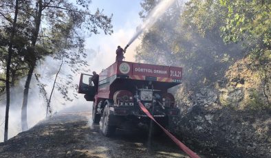 HATAY’DA ORMAN YANGINI 