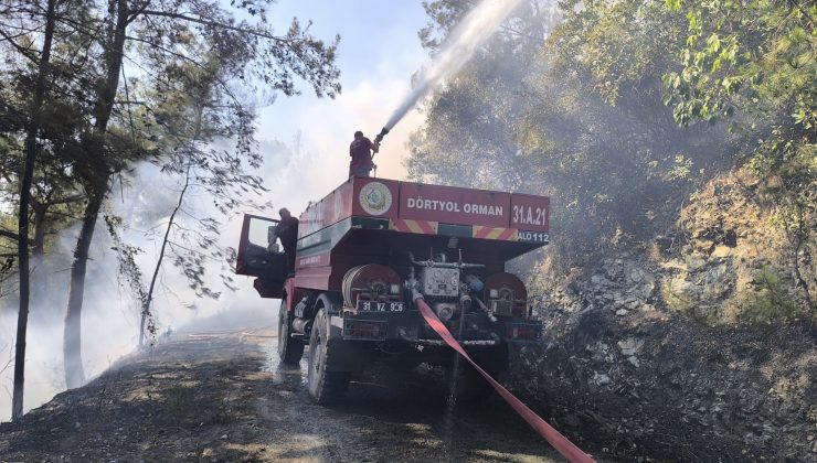 HATAY’DA ORMAN YANGINI 