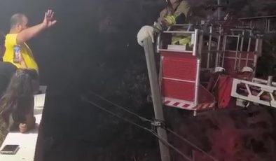 BALKONDAN ATLADIĞI DİREKTE MAHSUR KALAN KEDİYİ İTFAİYE KURTARDI  