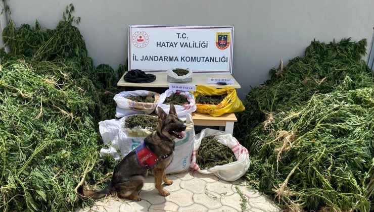 HATAY’DA JANDARMA EKİPLERİ SUÇA GEÇİT VERMEDİ