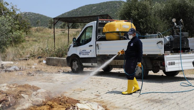 HBB’DEN KESİM ALANLARINDA BAYRAM SONRASI İLAÇLAMA
