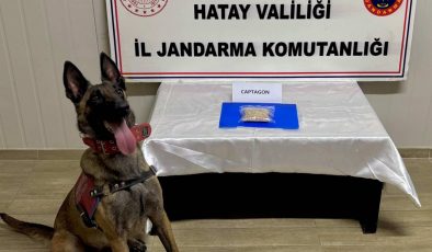HATAY’DA UYUŞTURUCU OPERASYONLARI ARALIKSIZ SÜRÜYOR 