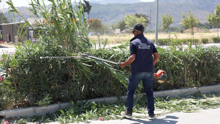 HBB HATAY’IN HER KÖŞESİNİ TEMİZLİYOR