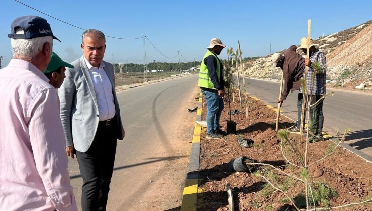 KIRIKHAN’DA YÖRÜKLER BULVARI’NA YEŞİL DOKUNUŞ